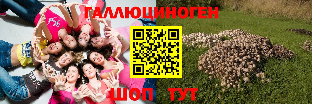Галлюциногенные грибы прущие грибы Рузаевка