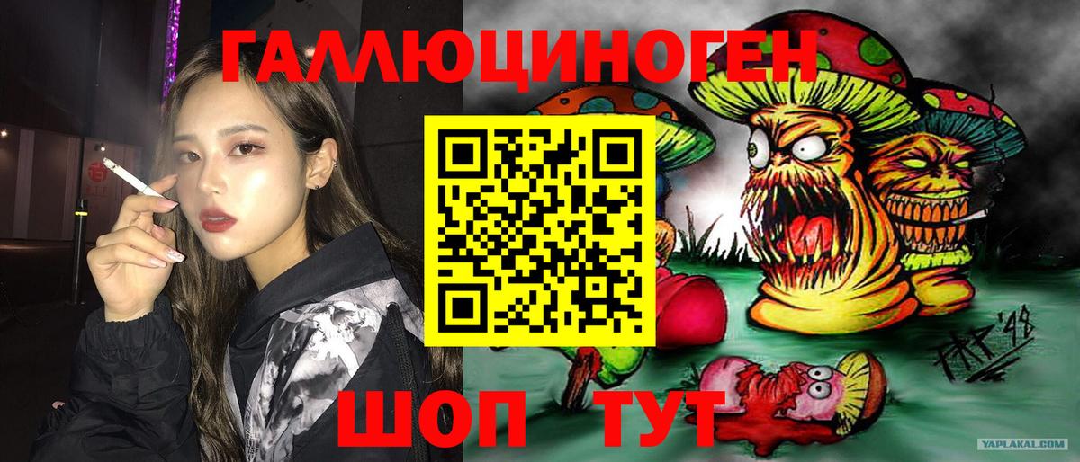 Рузаевка  Галлюциногенные грибы Psilocybine cubensis  Вход с VPN 